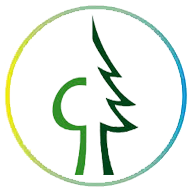 Bois Durable & Écologique